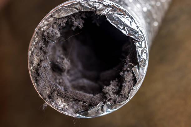 Best Air Duct Cleaning Near Me  in Hubbard, OR