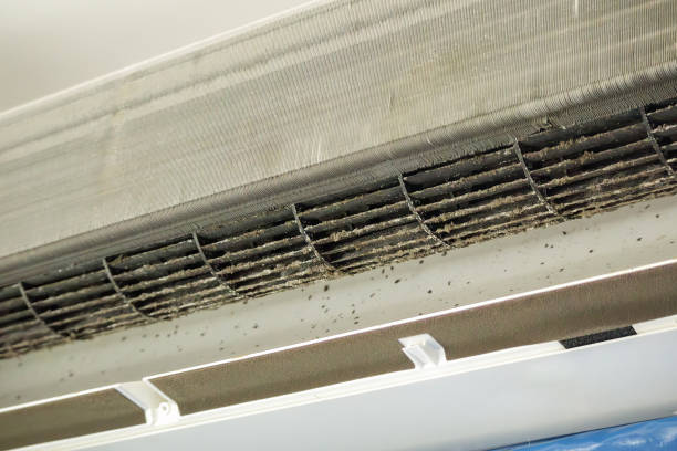 Best HVAC Air Duct Cleaning  in Hubbard, OR